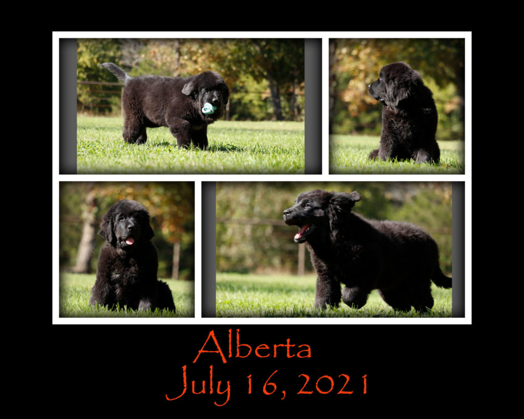 Alberta