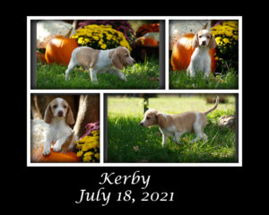 Kerby