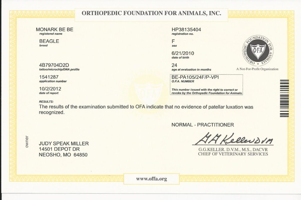 OFA patella