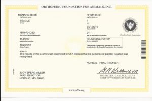 Ofa patella