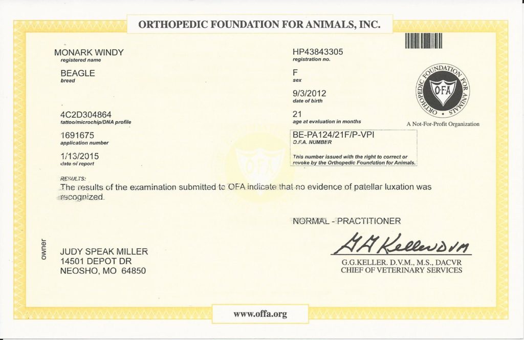 OFA patella