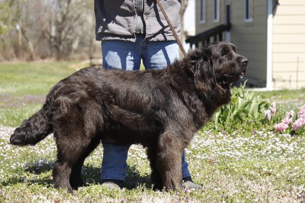 Blue Bell
