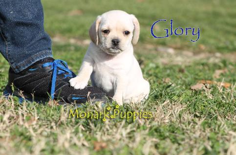 Glory