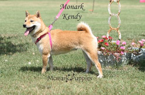 Kendy 2