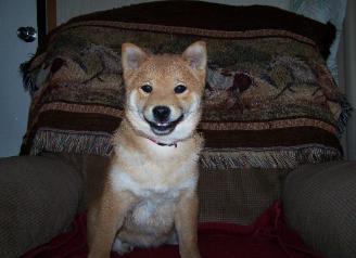 Sam