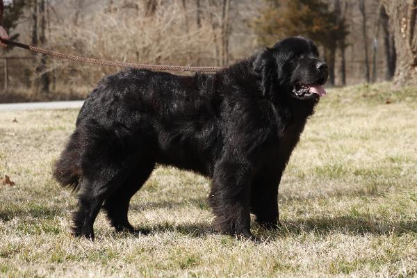 Sampson