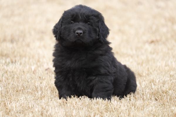 Yukon
