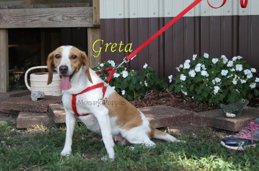 Greta