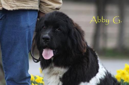 Abby G.