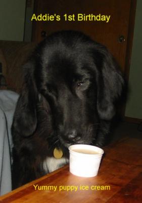 Addie 2