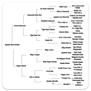 Bar double s quarter horses tree