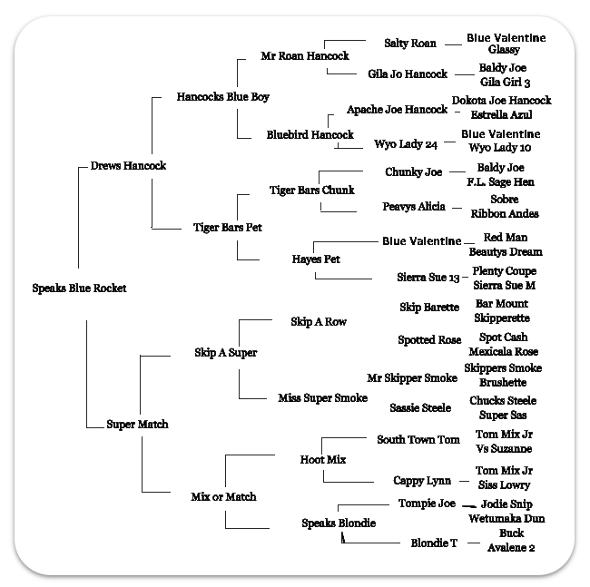 Bar Double S Quarter Horses Tree