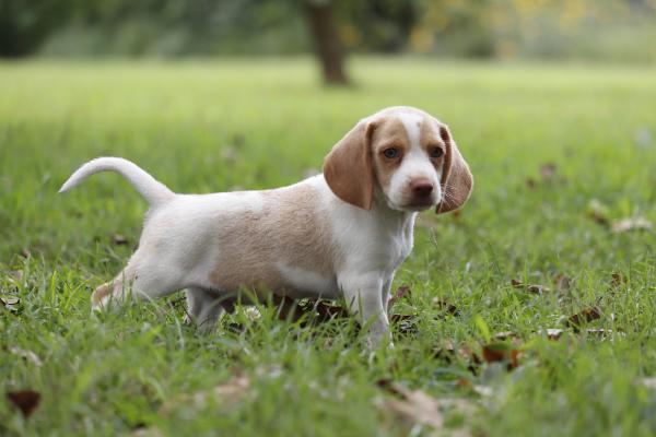 Charlie