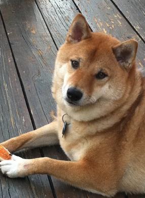 Keiko