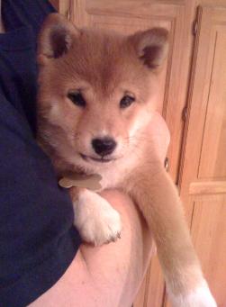 Kita