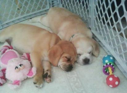 Murphy & Marcy 2