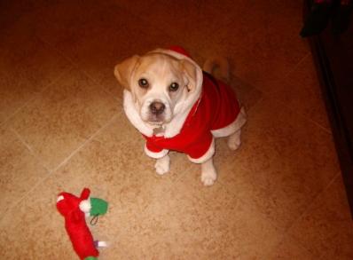 Murphy