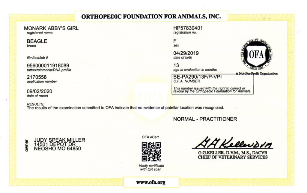 OFA - PATELLA
