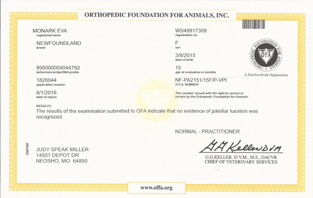 OFA patella