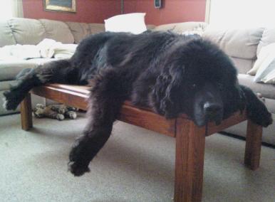 Rocky Nap