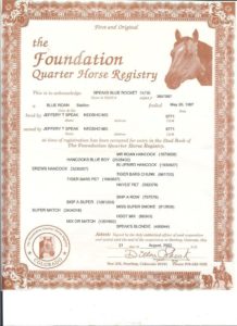 The foundation quarter horse registery 2002