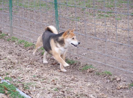 Yoshie
